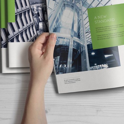 Brochure & Catalog